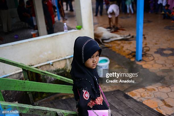 Girl looks on after a cow was sacrificed outside the prayer hall during Eid-Al-Adha in Phnom Penh, Cambodia on Monday September 12, 2016.