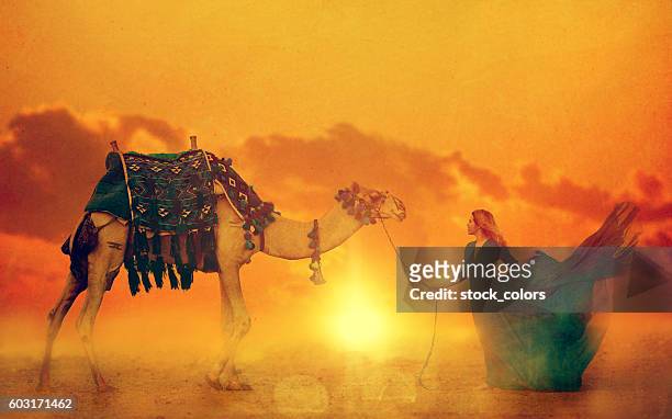 exotic sunset - hot arabian women stock pictures, royalty-free photos & images