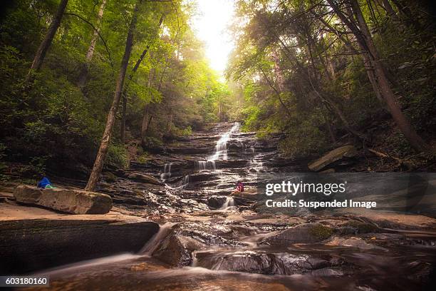 beautiful serene waterfall - georgia verenigde staten stockfoto's en -beelden