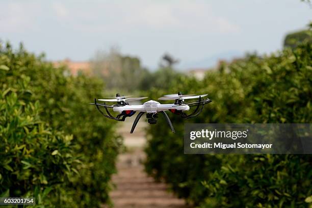 playing with my drone - drone agriculture bildbanksfoton och bilder