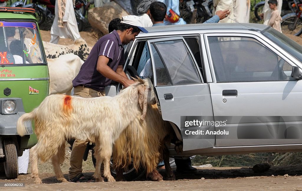 Eid al-Adha in Pakistan