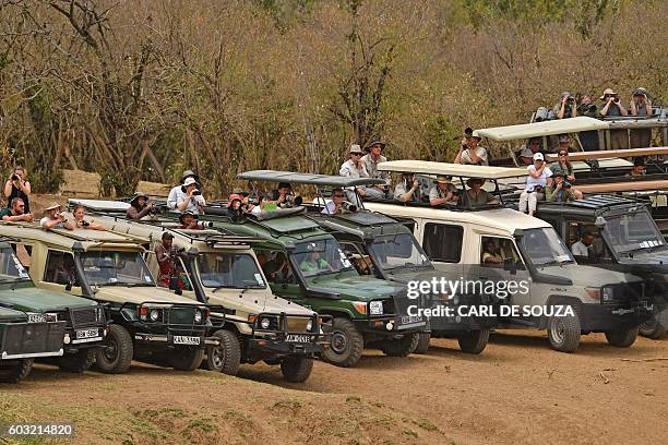 Tourists look on during the annual wildebeest migration in the Masai Mara game reserve on September 12, 2016 / AFP / CARL DE SOUZA