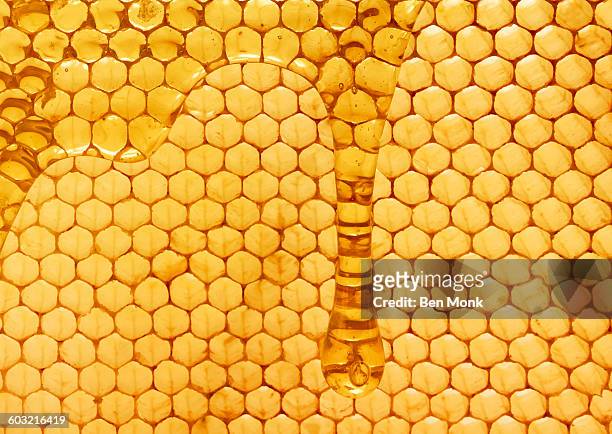 honey - honeycomb stock pictures, royalty-free photos & images