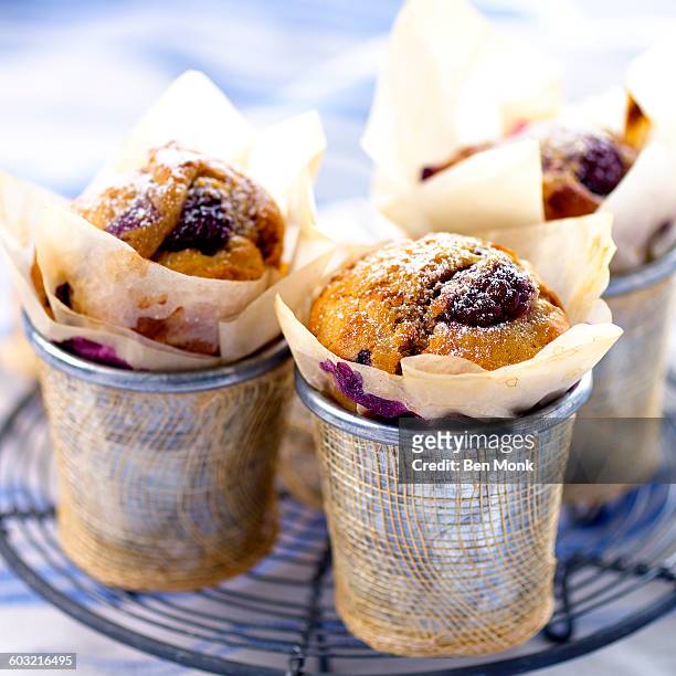 bluberry muffins - bluberry imagens e fotografias de stock