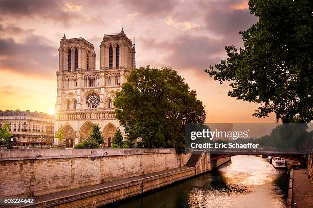 notre de paris in sunrise - notre dame fotografías e imágenes de stock