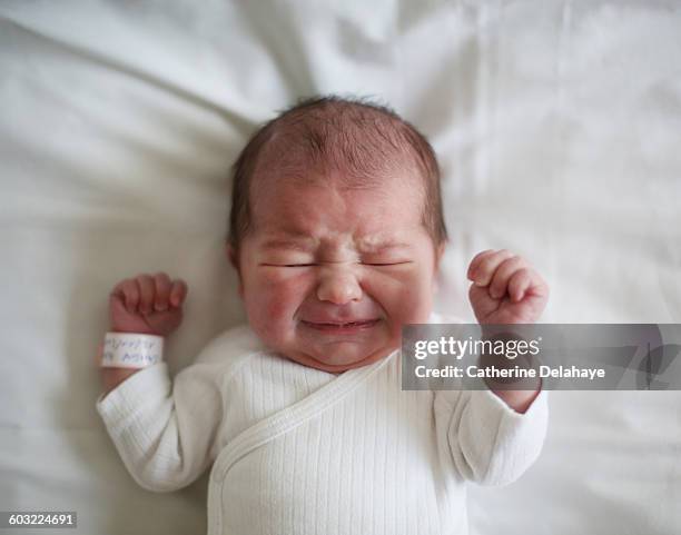 a newborn at the maternity ward - huilen stockfoto's en -beelden