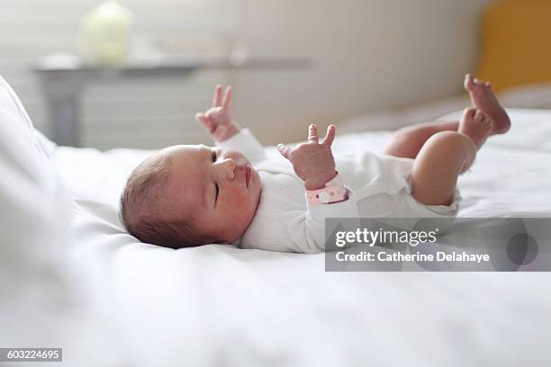 a newborn at the maternity ward - one baby girl only stock pictures, royalty-free photos & images