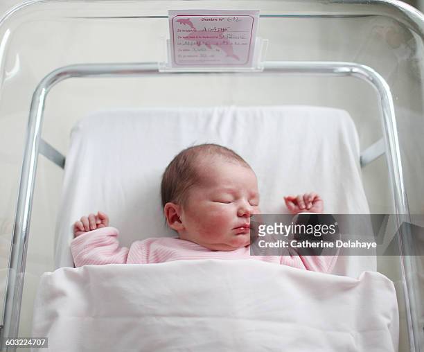 a newborn at the maternity ward - baby girls stock pictures, royalty-free photos & images