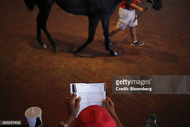 Prospective buyer views a pamphlet as a yearling thoroughbred racehorse walks by before being sold at auction during the 2016 September Yearling Sale...