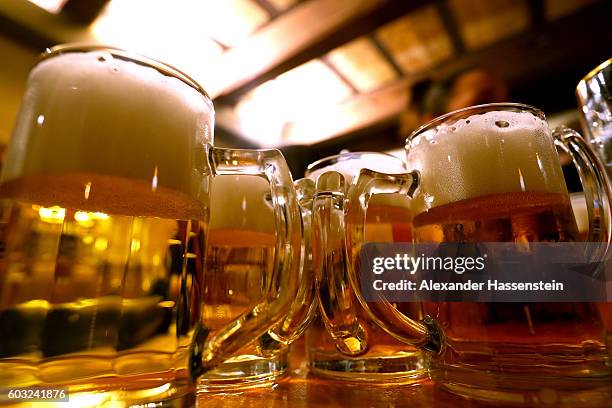 Waitress brings glasses of beer to the heads of the six Munich breweries as well as the owners of the Oktoberfest tents for the annual beer tasting...