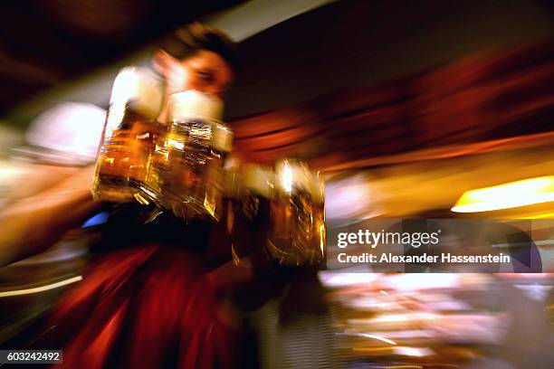 Waitress brings glasses of beer to the heads of the six Munich breweries as well as the owners of the Oktoberfest tents for the annual beer tasting...