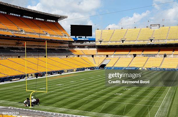 Pittsburgh Steelers playing field inside Heinz Field, home of the Pittsburgh Steelers and Pittsburgh Panthers football teams in Pittsburgh,...