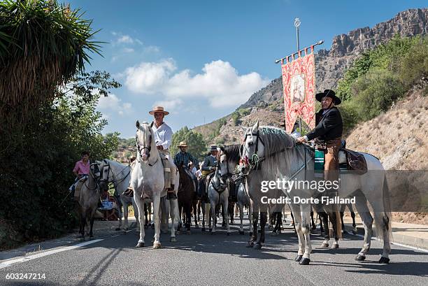 annual pilgrimage bringing the patron of the village to her sanctuary - dorte fjalland 個照片及圖片檔