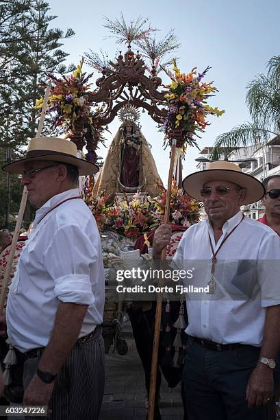 patron of the village being carried on a throne pulled by oxes - dorte fjalland fotografías e imágenes de stock