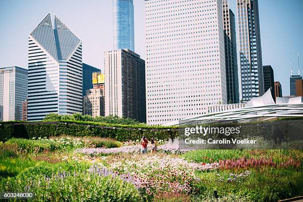 millennium park of chicago with view of the skyline - millennium park chicago stock-fotos und bilder