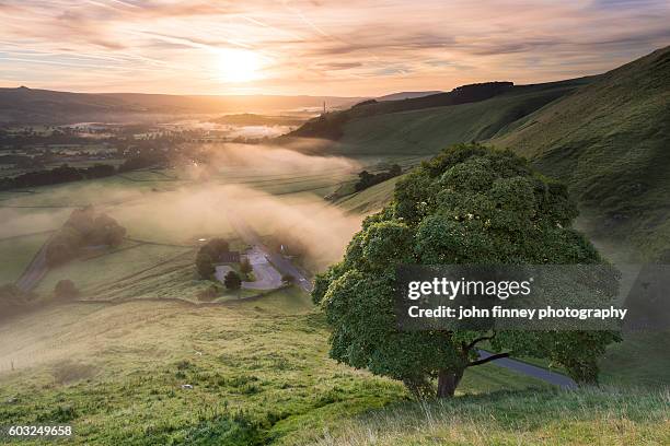 winnats pass sycamore tree sunrise, english peak district. - pennines stockfoto's en -beelden