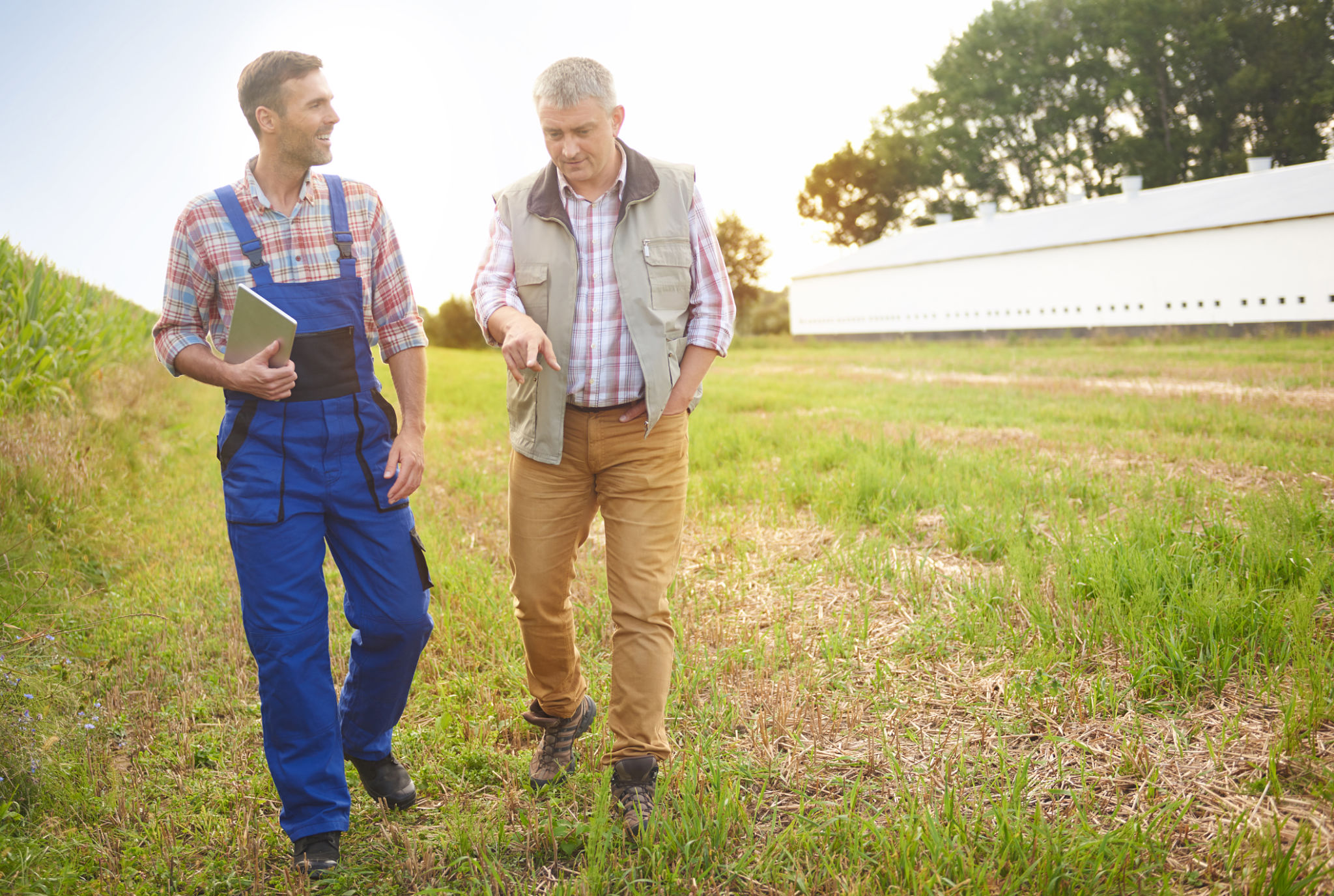 agricultural expert