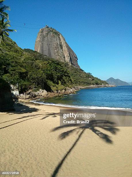 rio de janeiro city - urca rio de janeiro bildbanksfoton och bilder