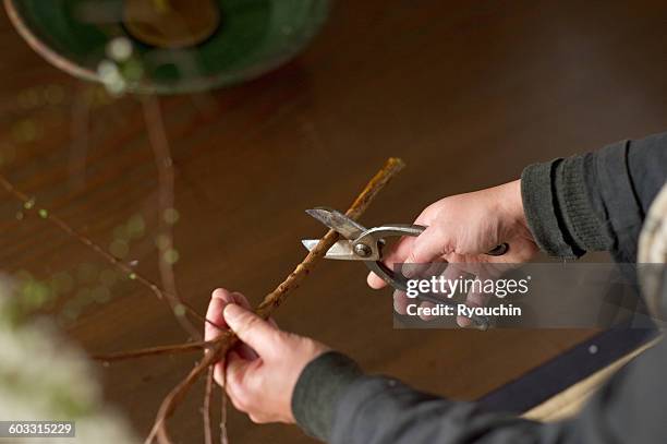 ikebana, flower arrangement - ikebana arrangement stock pictures, royalty-free photos & images