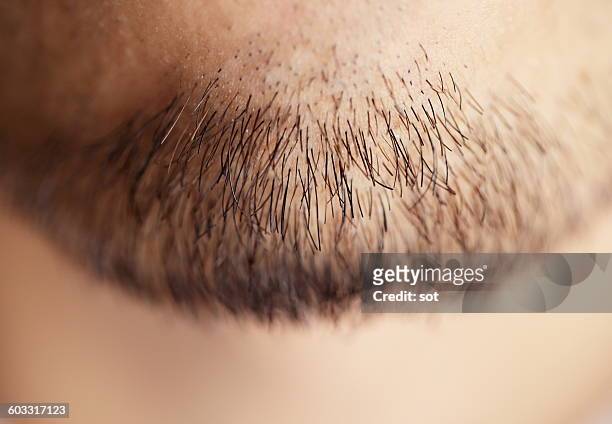 young man of beard,close up - hair growth stock pictures, royalty-free photos & images