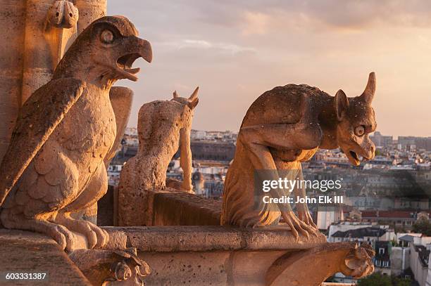 notre dame cathedral, gargoyles - gargoyle stock pictures, royalty-free photos & images