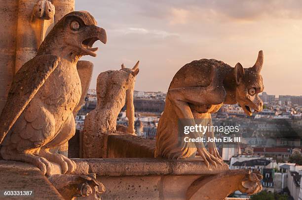 notre dame cathedral, gargoyles - notre dame de paris stock pictures, royalty-free photos & images