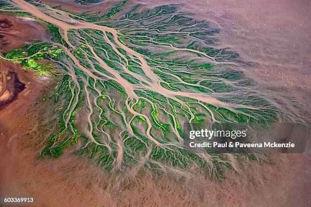 aerial view of river delta patterns - lesser flamingo stock pictures, royalty-free photos & images