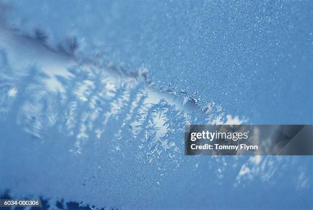 ice crystals - eisblume stock-fotos und bilder