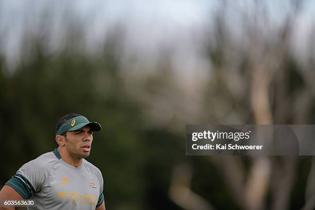 Bryan Habana of the Springboks reacting during a South Africa Springboks training session at Clearwater Resort Fields on September 13, 2016 in...