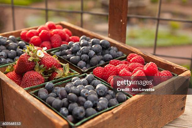 fresh berries on the farm - fruta baya fotografías e imágenes de stock