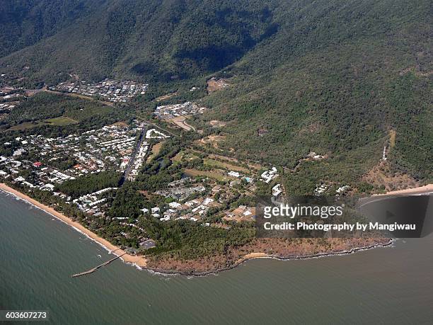 palm cove - barramundi stock pictures, royalty-free photos & images