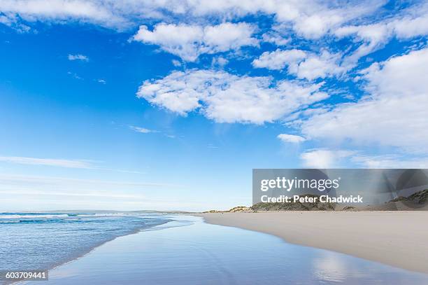 open pristine beaches of de mond nature reserve - mond open photos et images de collection