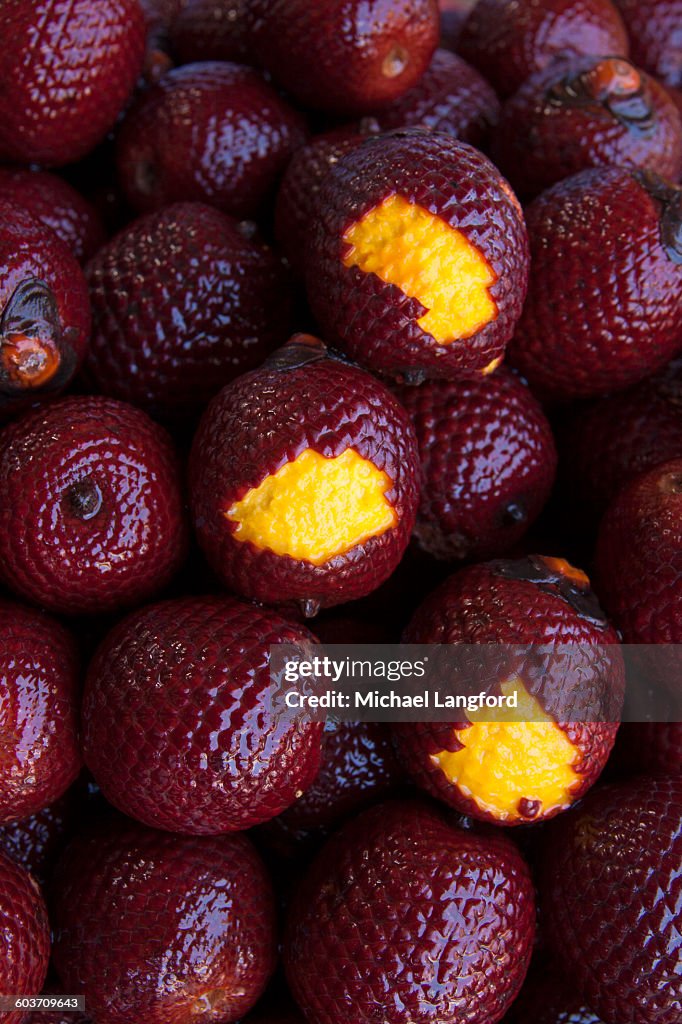 Close-up view of aguaje, moriche or buriti palm fruits (Mauritia flexuosa) showing flesh and scales, Puerto Maldonado, Tambopata Province, Madre de Dios Region, Peru.  