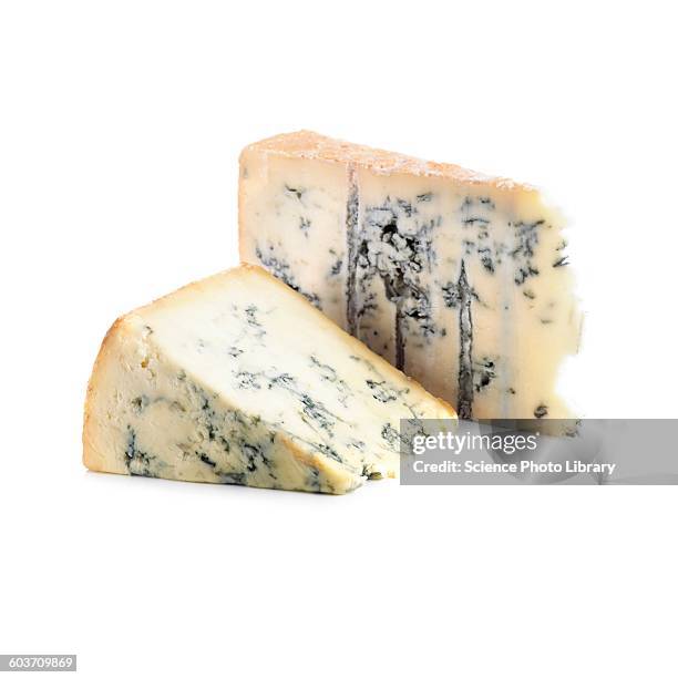 blue cheese - blauschimmelkäse stock-fotos und bilder