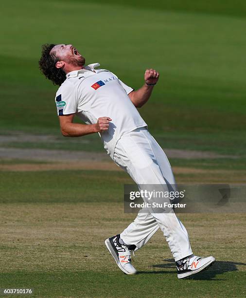 Yorkshire bowler Ryan Sidebottom celebrates after bowling Somerset batsman James Hildreth during day two of the Division One Specsavers County...