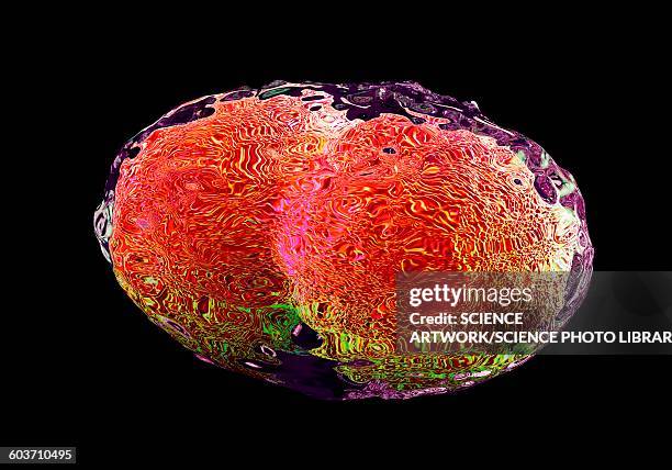 smallpox virus, illustration - orthopoxvirus stock illustrations