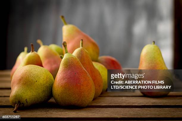 guyot pears - pear stock-fotos und bilder