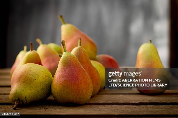 guyot pears - pera fotografías e imágenes de stock
