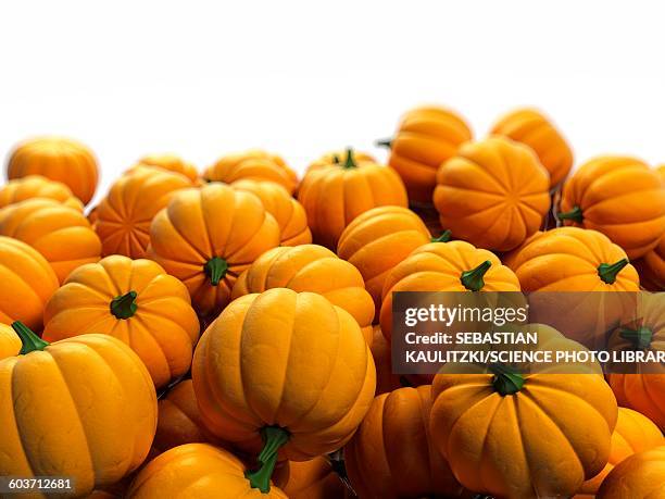 pumpkins, illustration - pumpkin stock illustrations