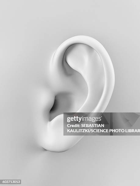 illustrations, cliparts, dessins animés et icônes de human ear, illustration - perception sensorielle