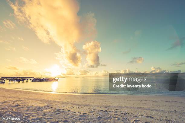 art beautiful sunrise over the tropical beach - laguna beach maldives stock pictures, royalty-free photos & images