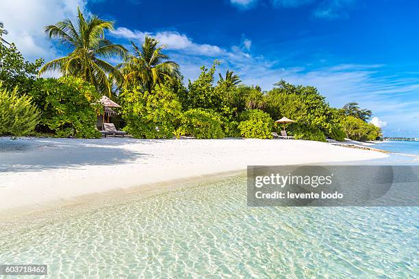 art beautiful sunrise over the tropical beach - french polynesia stock pictures, royalty-free photos & images