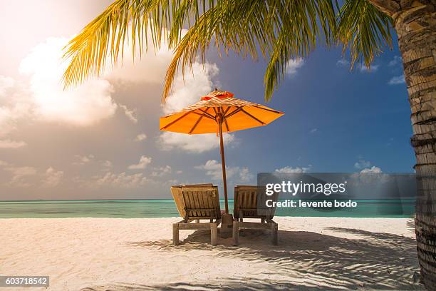 beach bed with sun flare twilight time - insel tahiti stock-fotos und bilder