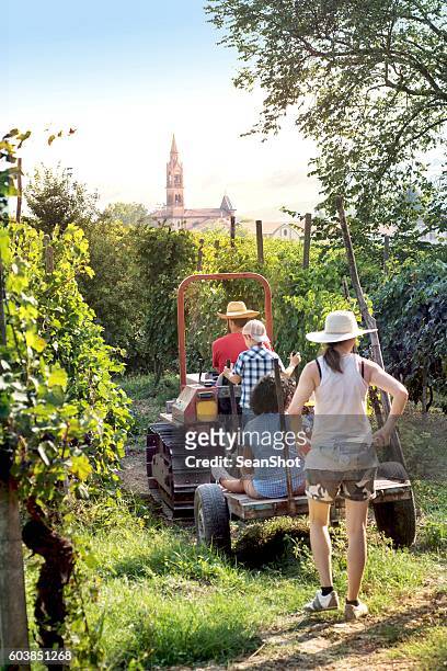 grape harvest. moving with the tractor in the vineyard - grape harvest stock pictures, royalty-free photos & images