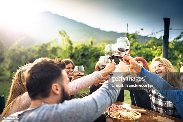 amici tostato con vino rosso dopo la raccolta - cultura italiana foto e immagini stock