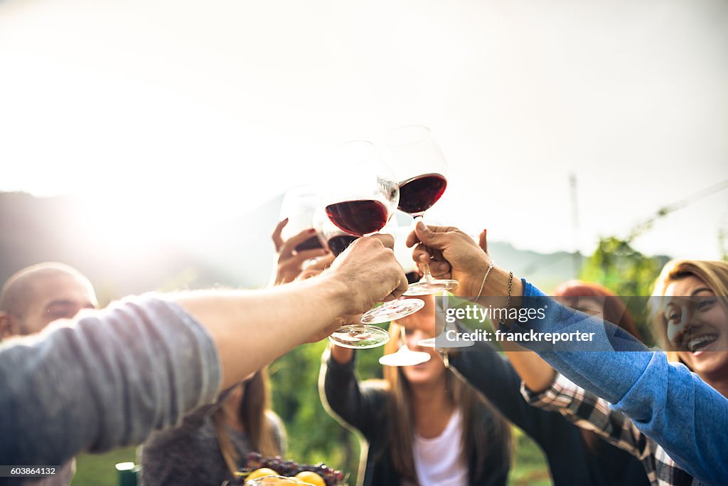 Freunde toasten mit Rotwein nach der Ernte