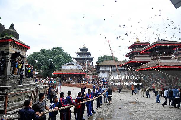 Errect Photos and Premium High Res Pictures - Getty Images