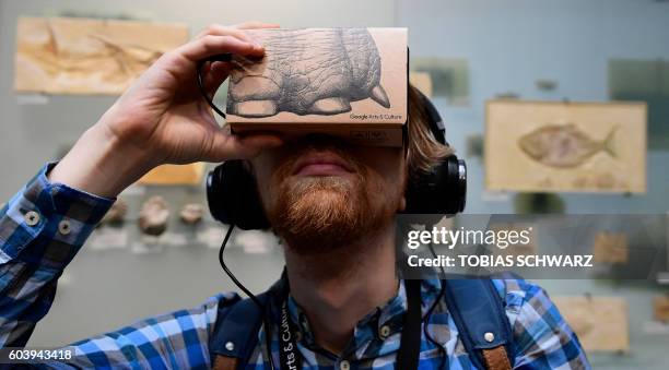 Journalist uses a smartphone equipped with a so-called "Google Cardboard" mount to use it as a VR device for trying out a new offer developed by...