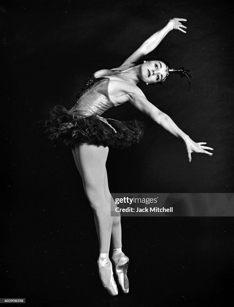 Patricia Wilde Firebird