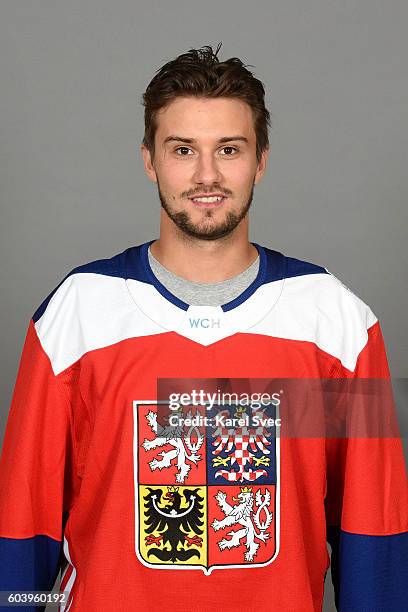 Roman Mrazek Rico Rox 61 Nhl Officials Association Stock Photos, High-Res Pictures, and ...